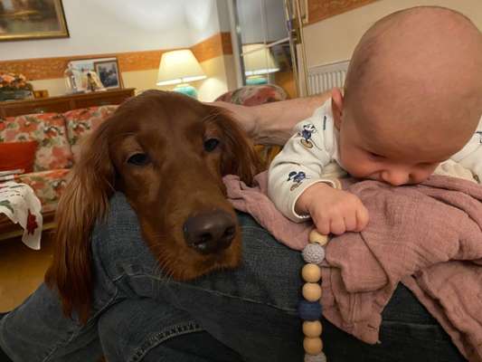 Zeigt mir die tollste Nahaufnahme von eurer Fellnase-Beitrag-Bild