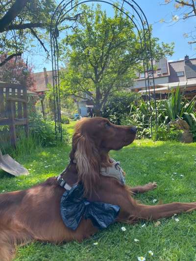 Un...scharf Bilder-Beitrag-Bild