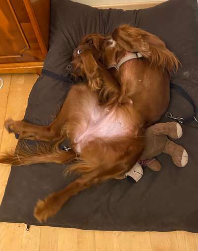 Fotochallenge Nr.65-Beitrag-Bild