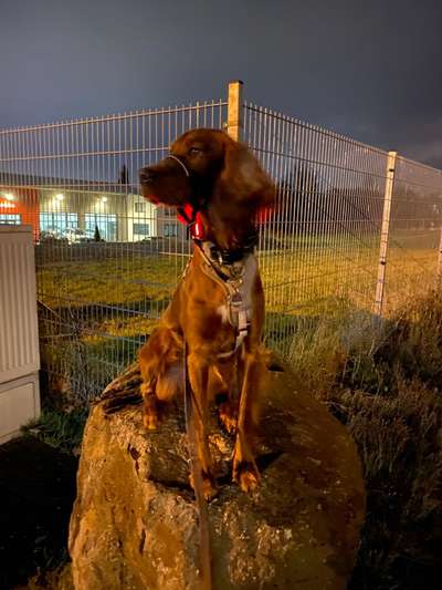 FOTOCHALLENGE 86-Beitrag-Bild