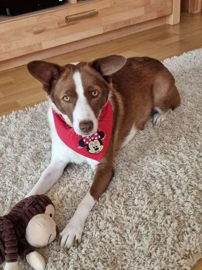 Lieblingsbild-Beitrag-Bild