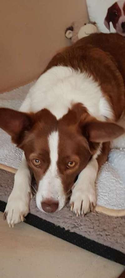 Lieblingsbild-Beitrag-Bild