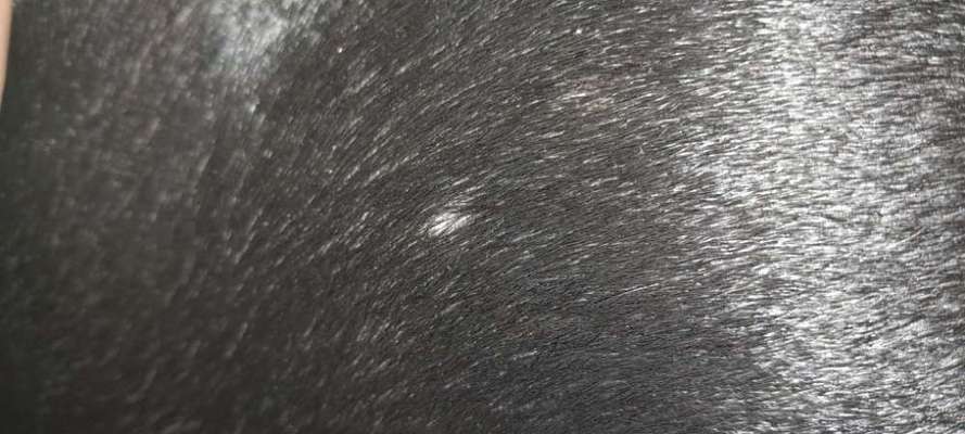 Pickel am ganzen Körper-Beitrag-Bild