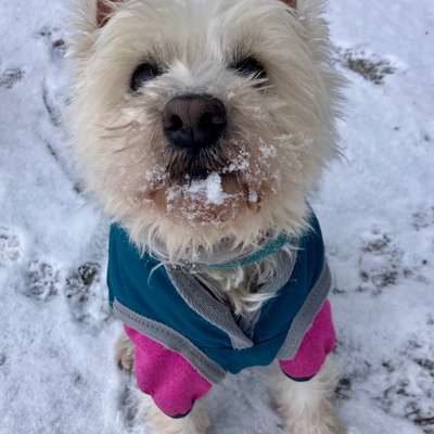 Sick Sinus Syndrom (Bradykardie/ Herzrhythmusstörung/ Herzerkrankungen/ Herzfehler)-Beitrag-Bild