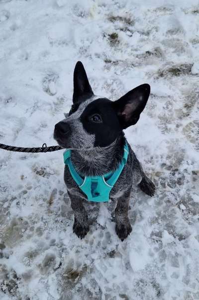 14. Farbenfoto-Challenge "Weiss"-Beitrag-Bild