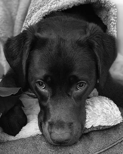 150. Foto Challaenge:  Die Augen, der Spiegel der Seele-Beitrag-Bild