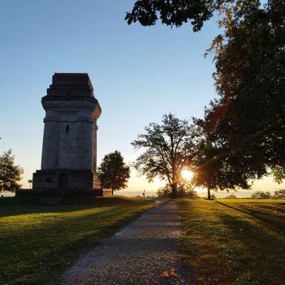 Hundeauslaufgebiet-Rund um den Bismarckturm-Bild