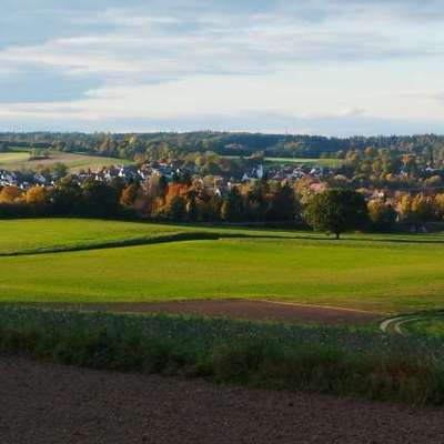 Hundeauslaufgebiet-Hexenbuckel Steppach - Westheim-Bild