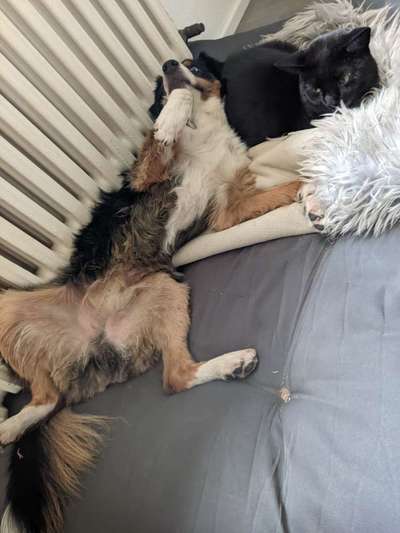 Fotochallenge Nr.65-Beitrag-Bild