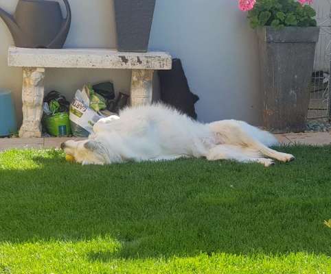 Fotochallenge Nr.65-Beitrag-Bild