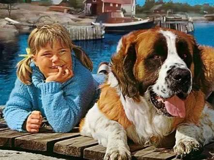 Wie heißt dein Hund?-Beitrag-Bild