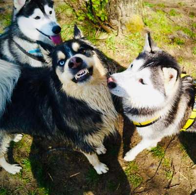 Fotochallenge Nr.122-Beitrag-Bild