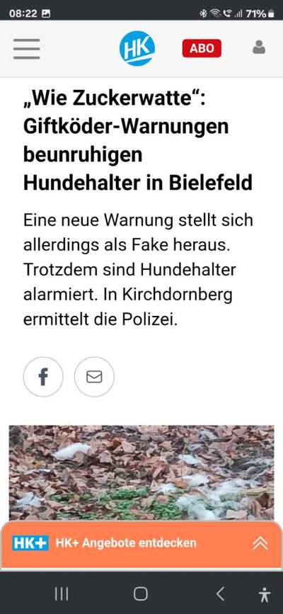 Komische Fellknäule im Wald-Beitrag-Bild