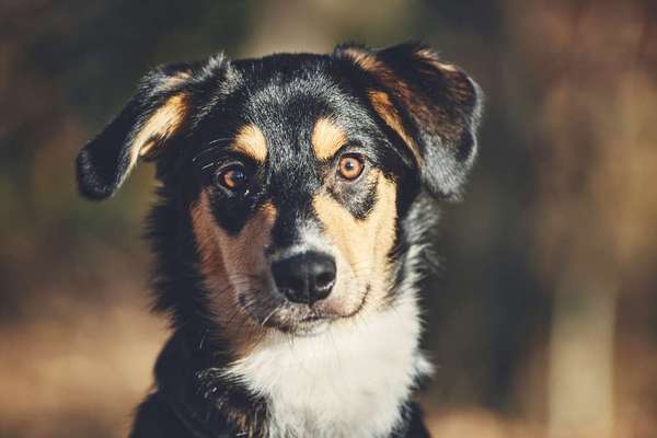 Fotochallange Nr. 57     PORTRÄT.   Beendet!!!!!!!!-Beitrag-Bild