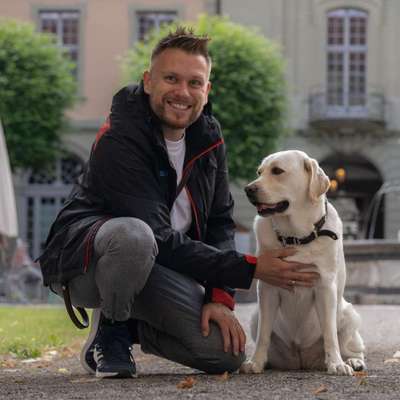 Hundetreffen-Hunde Spaziergang Stansstad