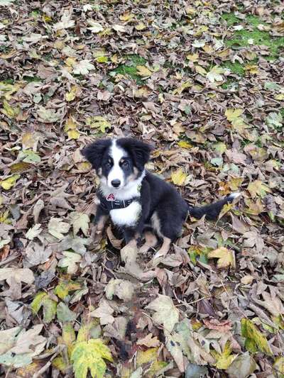 Fotochallange Nr. 57     PORTRÄT.   Beendet!!!!!!!!-Beitrag-Bild