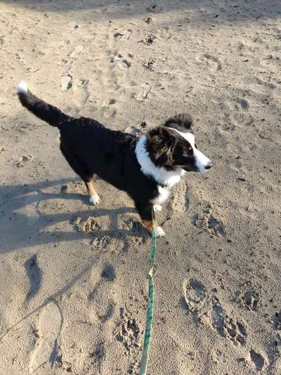 Eure Strandbilder :)-Beitrag-Bild