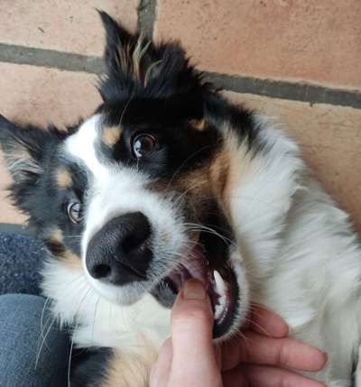 Lustige Grimassen & verrückte Posen-Beitrag-Bild