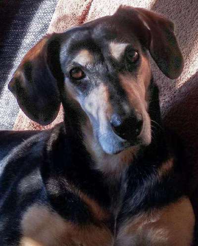 Fotochallange Nr. 57     PORTRÄT.   Beendet!!!!!!!!-Beitrag-Bild