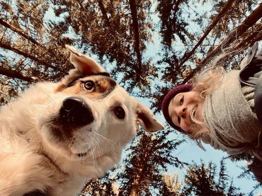 Hundetreffen-Spazierfreunde gesucht-Bild