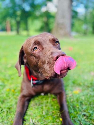 Moviestar-Pics!-Beitrag-Bild