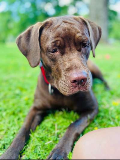 Moviestar-Pics!-Beitrag-Bild