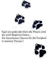 Regenbogenbrücke-Beitrag-Bild