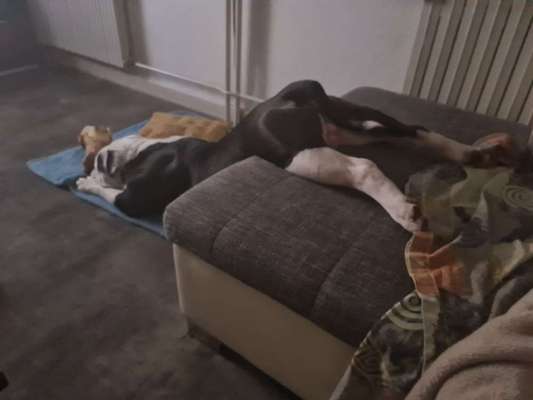 CHALLENGE NR. 34 - Liege-/Schlafpositionen-Beitrag-Bild