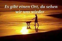 Regenbogenbrücke-Beitrag-Bild