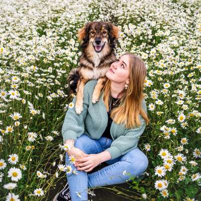 Hundetreffen-Playdate-Bild
