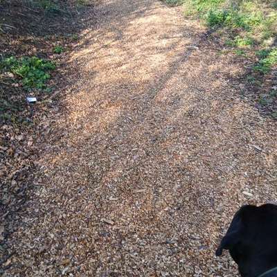 Was hat euch heute genervt?-Beitrag-Bild