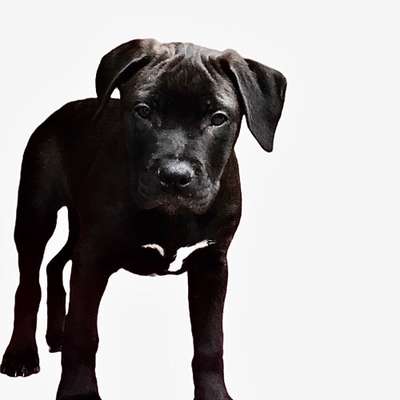 Photoshop und Co.-Beitrag-Bild