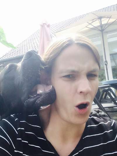 Dogorama Photo Challenge - Liebesbeweis-Beitrag-Bild