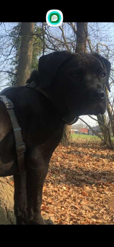 Was hat euch heute genervt?-Beitrag-Bild