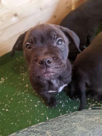 Erstes Bild-Beitrag-Bild