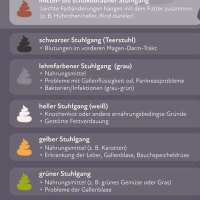 Kotfarbe ?-Beitrag-Bild