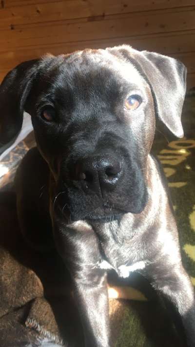 Lieblingsbild-Beitrag-Bild