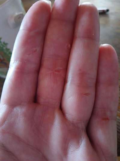 Was hat euch heute genervt?-Beitrag-Bild