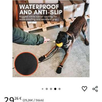 Gute Schuhe/Socken zum Pfotenschutz (Streusalz)?-Beitrag-Bild