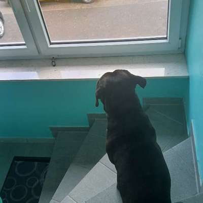 Was hat euch heute gefreut?-Beitrag-Bild