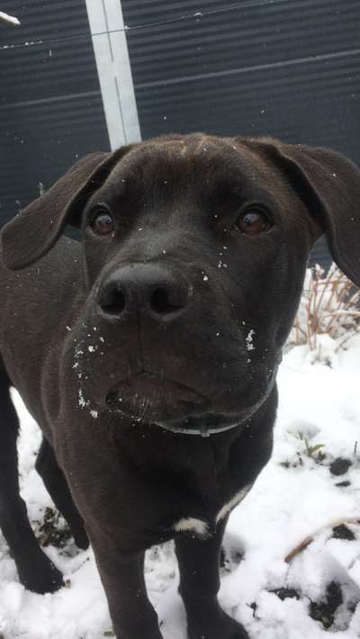 Schnee Foto-Beitrag-Bild