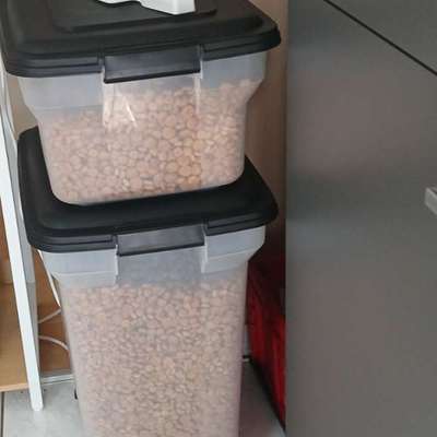 Trockenfutter Aufbewahrung-Beitrag-Bild