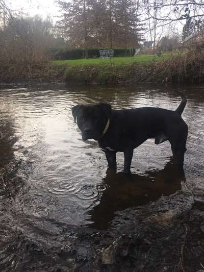 35. Handy Foto Challenge - Das nasse Element-Beitrag-Bild