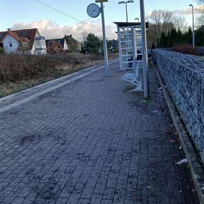 Hund an das Bahnfahren gewöhnen – eure Erfahrungen?-Beitrag-Bild