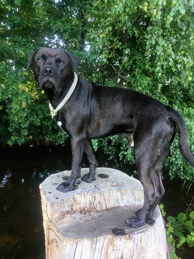 64. Handy Foto Challenge - Hoch hinaus-Beitrag-Bild