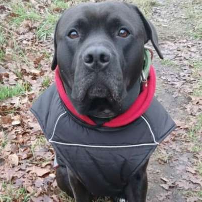 Welche Mäntel empfehlt ihr?-Beitrag-Bild