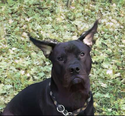 Was hat euch heute genervt?-Beitrag-Bild