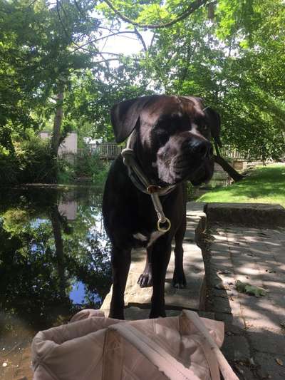 41. Handy Video Challenge-Beitrag-Bild