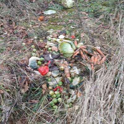 Was hat euch heute genervt?-Beitrag-Bild