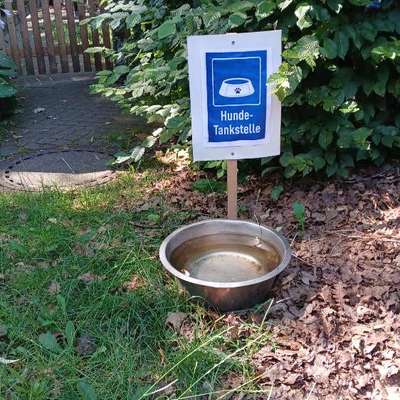 Was hat euch heute mit eurem Hund gefreut?-Beitrag-Bild